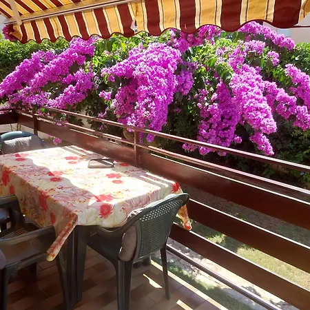 Apartament Centar *